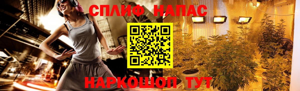 Бошки Шишки сатива Буйнакск